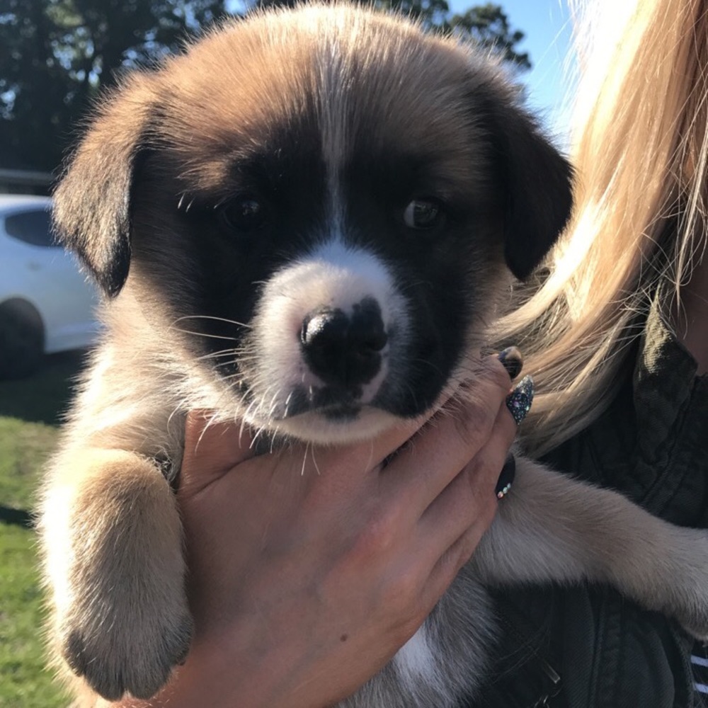 Meet your Posher, Nicholas